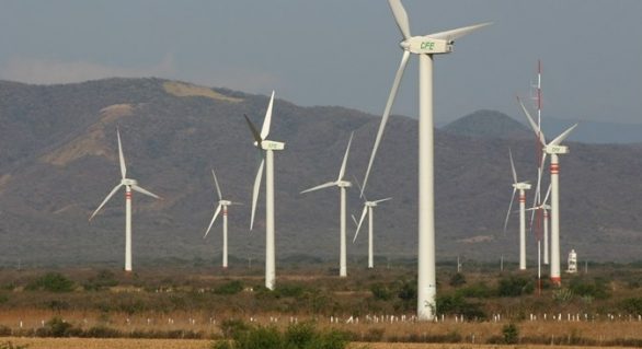 Alagoas deve ganhar fábrica de materiais para geração de energia eólica