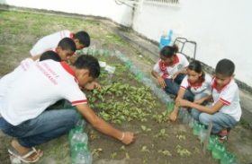 Projeto de Horta Escolar econtribui para o enriquecimento nutricional escolar