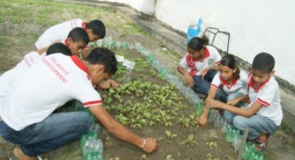 Projeto de Horta Escolar econtribui para o enriquecimento nutricional escolar
