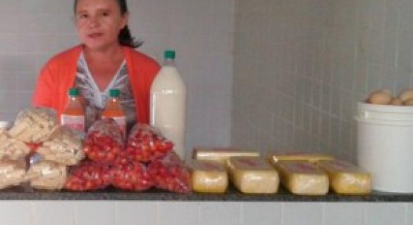 Produtores de queijo artesanal melhoram a renda com adoção de novas tecnologias