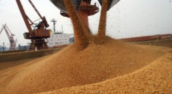 Safra agrícola deve cair 1% no próximo ano, estima IBGE