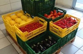 Embrapa lança grupo de caixas para comercialização de hortaliças