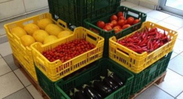 Embrapa lança grupo de caixas para comercialização de hortaliças