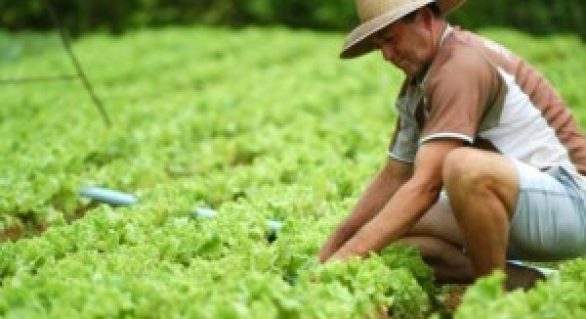 Produtores rurais são capacitados para aderir ao Cadastro Ambiental Rural
