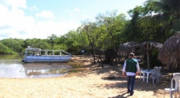 Invasão em áreas de manguezal configura crime ambiental, alerta IMA
