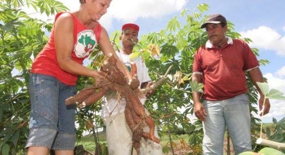 Governo trabalha em convênios de reforma agrária paralisados em Alagoas