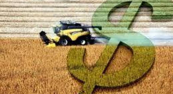 Banco do Brasil já liberou R$ 1,4 bilhão para o pré-custeio agrícola