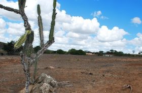 El Niño perderá força entre abril e maio, prevê meteorologista