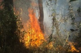 Alternativas às queimadas nos campos e técnicas de controle de incêndios para produtores rurais