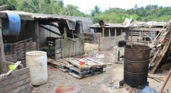 Alagoas propõe construção de matadouros regionais
