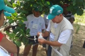 Prefeitura de Delmiro Gouveia realiza entrega de certificado do curso de Olericultura Orgânica
