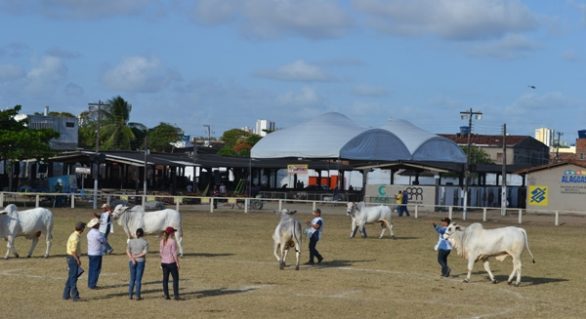 ACA inicia manutenção do Parque da Pecuária para Expoagro