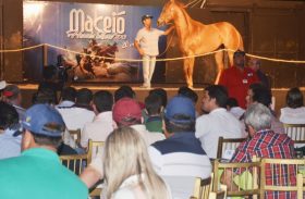 Maceió Horse’s Show traz linhagem voltada para vaquejada, tambor e corrida