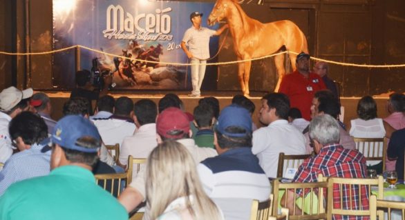 Maceió Horse’s Show traz linhagem voltada para vaquejada, tambor e corrida