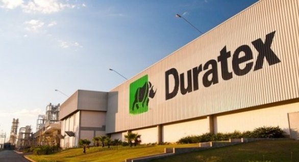 Governo do Estado trabalha para instalar fábrica da Duratex em Alagoas