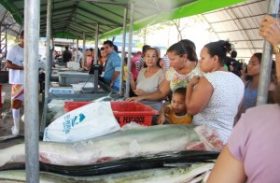Feira do Peixe Vivo aproxima consumidores e produtores de pescado