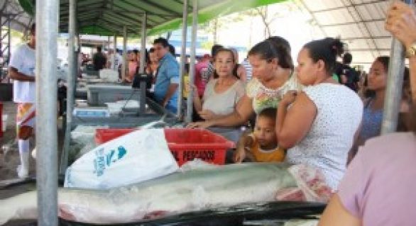 Feira do Peixe Vivo aproxima consumidores e produtores de pescado