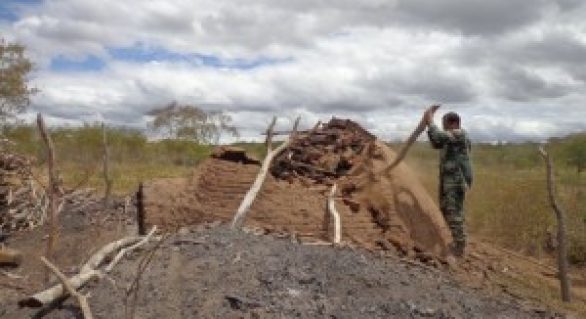Fiscalização do IMA flagra carvoaria alimentada por madeira da caatinga