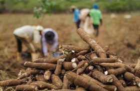 Alagoas aposta no produtor local para diversificação da matriz econômica