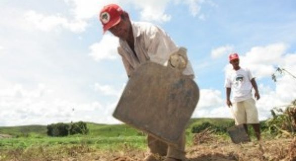 Cerca de 400 famílias de agricultores assentados serão beneficiadas com terras