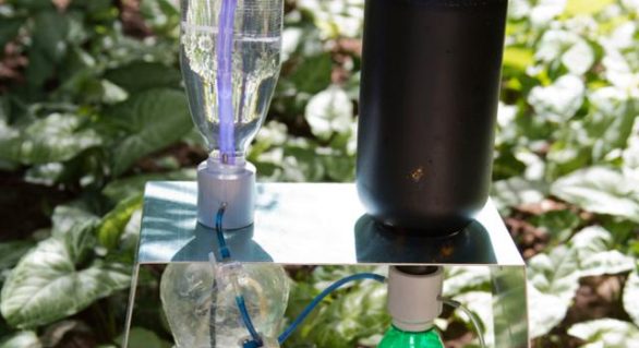 Pesquisador cria irrigador solar automático com garrafas usadas