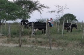Desenvolve libera recurso que fortalece agricultura familiar em Estrela de Alagoas