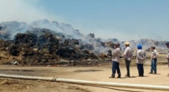 IMA multa GranBio em R$ 570 mil por incêndios em estoque de palhas