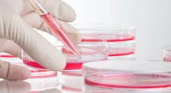 Comissão de Ética analisará testes com substância contra câncer