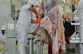 Mais de 70% da carne consumida em Alagoas tem origem irregular