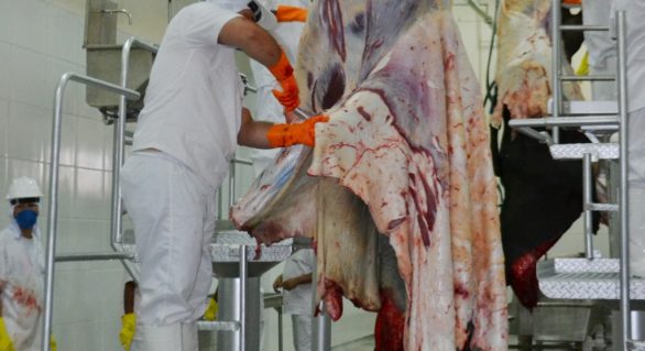Mais de 70% da carne consumida em Alagoas tem origem irregular