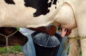 Altos custos na produção de leite preocupam produtores da CPLA