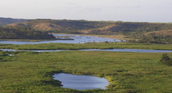“Pantanal Alagoano” deve receber plano de desenvolvimento do turismo