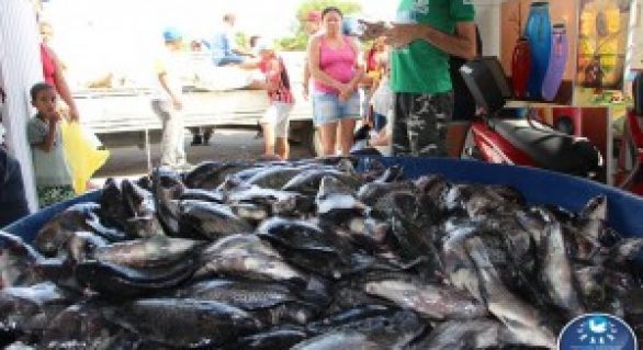 Prefeitura de Delmiro Gouveia entrega peixes aos beneficiários do PAA