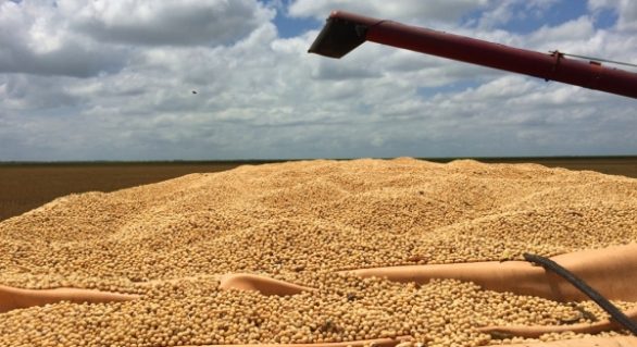 Safra de grãos 2015/16 é estimada em 188,1 milhões de toneladas de grãos