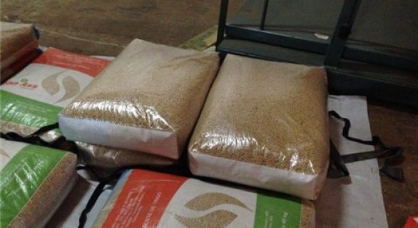 Embalagem de ráfia retorna ao mercado de sementes tratadas