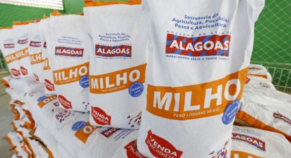 Renan Filho quer fazer Alagoas produzir 100 mil toneladas de milho