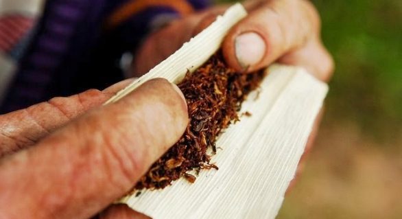 Alagoas corrige distorção e acaba “desvio” no mercado de fumo de corda