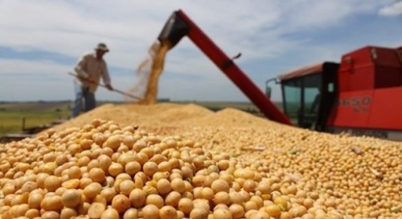 Agronegócio supera 50% de participação nas exportações brasileiras, em 2016