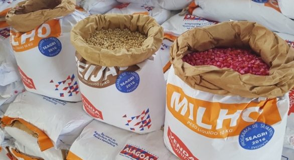 Estado garante entrega de sementes para comunidades quilombola