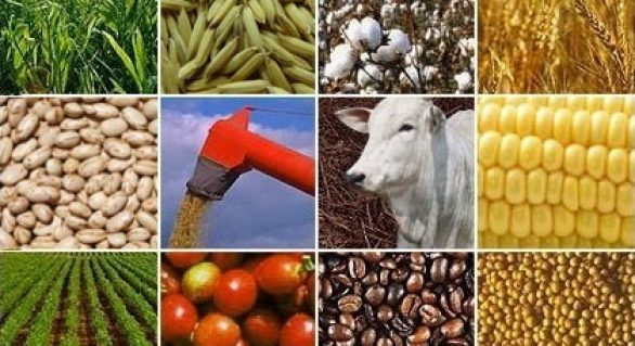 Valor da Produção Agropecuária encerra 2016 com queda de 1,8%