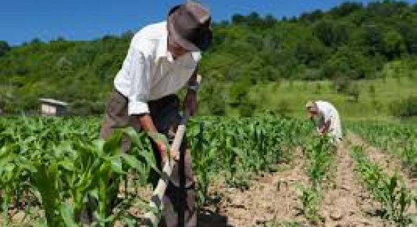 CNA defende práticas corretas para segurança do trabalhador rural
