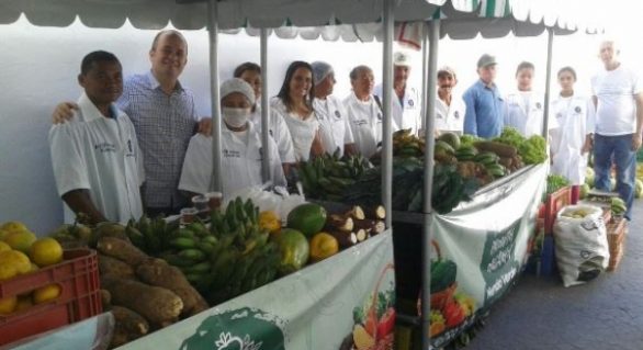 Arranjo Produtivo Fruticultura no Vale do Mundaú participa de feira orgânica