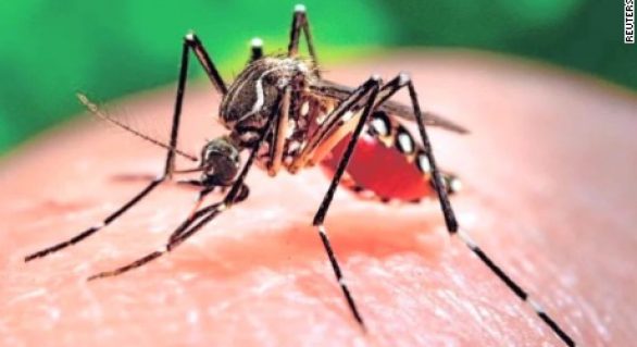 Epidemia de zika reacende debate sobre interrupção da gravidez