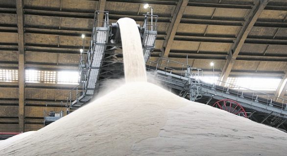 Produção de açúcar ultrapassa meio milhão de toneladas