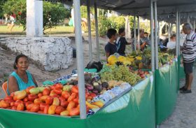 Feira do  Colono de Pindorama integra agricultores e comunidade
