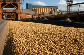 Ministério lança normas que podem reduzir custo de produção agrícola em até 35%