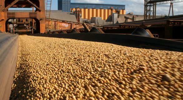 Ministério lança normas que podem reduzir custo de produção agrícola em até 35%