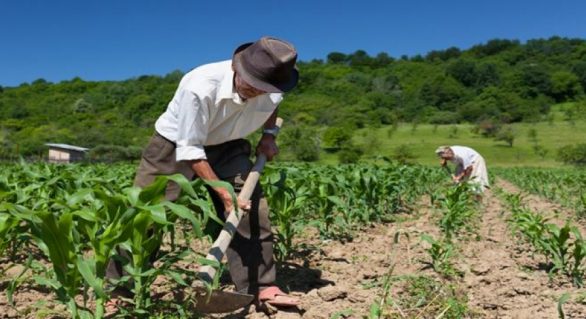 Programa Rural Legal vai beneficiar pequenos produtores
