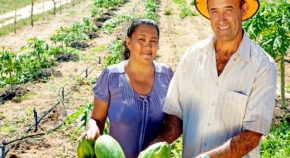 Com aporte de R$ 3, 3 milhões, Programa de Aquisição de Alimentos é lançado em municípios de AL