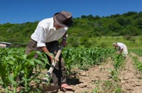 Governo de Alagoas distribuirá kits de irrigação com pequenos produtores